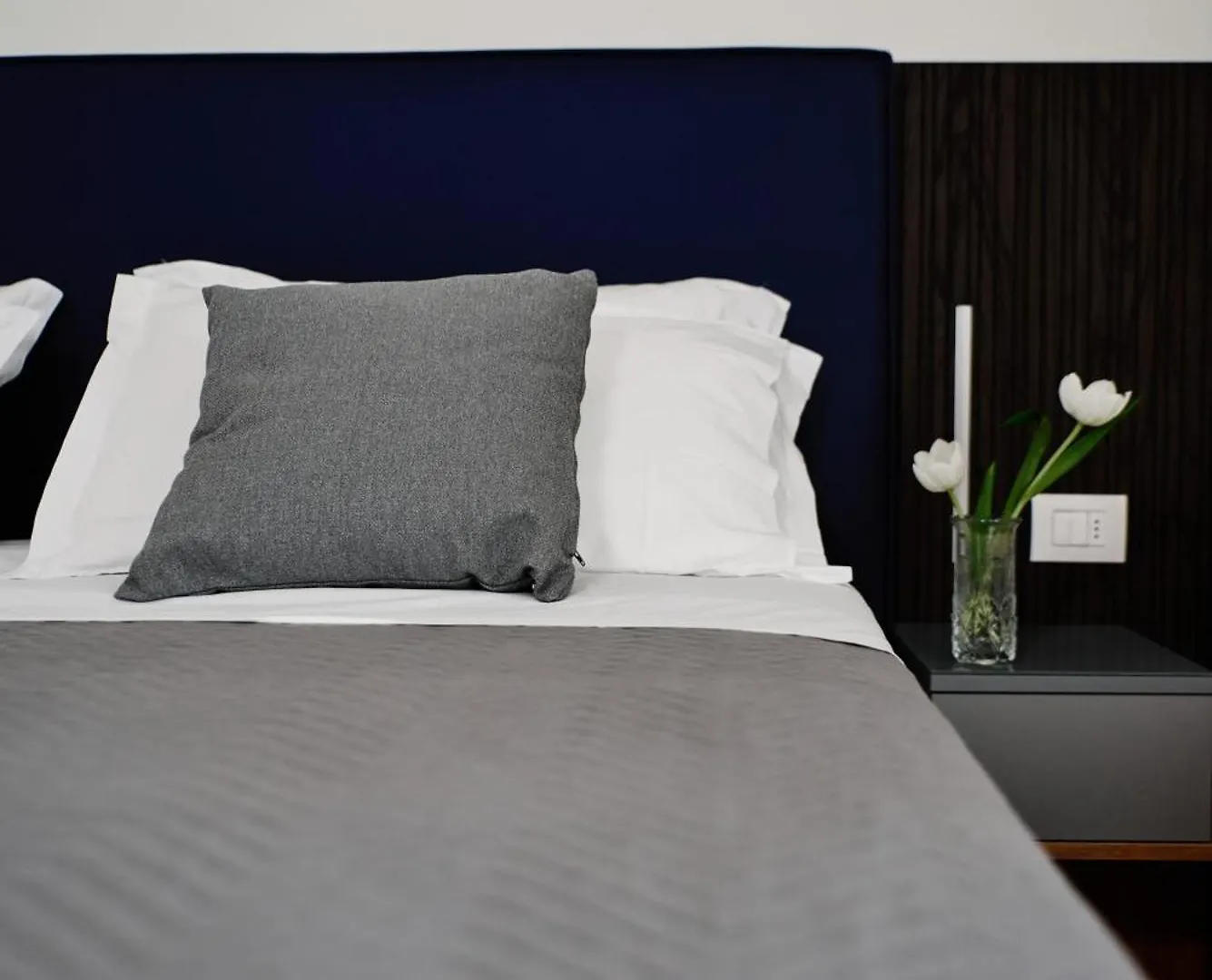 Hotel Negresco Cattolica